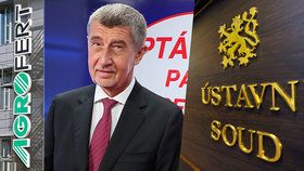 Premiér Andrej Babiš v pořadu Blesk Zpráv Ptám se, pane premiére kritizoval rozhodování Ústavního soudu. Prý u zákonu o střetu zájmu vynesl rozhodnutí v politické rovině. Když Babiš prohraje volby řekl, že v politice skončí. (19. 2. 2020)