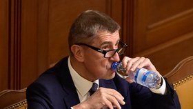 Andrej Babiš v Poslanecké sněmovně