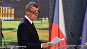 Premiér Andrej Babiš (ANO)