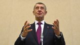 Vánoce bez premiérova projevu: Babiš na Nový rok promluví skrze sociální sítě