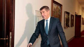 Premiér v demisi a předseda hnutí ANO Andrej Babiš slibuje zákon o obecném referendu, ale v jiném znění, než chce SPD.