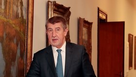 Andrej Babiš přichází do jednacího sálu vlády.