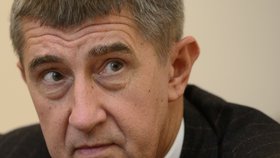 Vicepremiér a předseda hnutí ANO Andrej Babiš