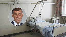 Babiš okomentoval krizi zdravotnictví.