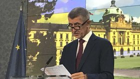 Andrej Babiš (ANO) uvádí svůj názor na zdravotnickou krizi