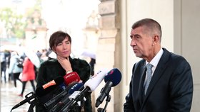 Šéf hnutí ANO Andrej Babiš po schůzce s prezidentem Milošem Zemanem na Hradě