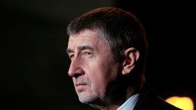 Andrej Babiš se na večeři s prezidentem Milošem Zemanem v lánech 8. února dozvěděl, že i když po něm prezident nebude chtít 101 poslanců, očekává, že jeho druhá vláda získá ve Sněmovně důvěru