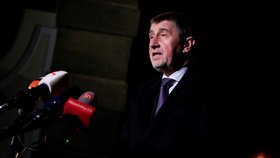 Babiš v minulosti kritizoval tehdejšího premiéra Bohuslava Sobotku, který se postavil proti rychlejšímu růstu platů politiků.