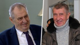 Babiš je jediný prezidentský kandidát s politickými zkušenostmi, zahlásal na jeho podporu Zeman.