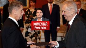 Premiér Andrej Babiš (ANO, vlevo) a prezident Miloš Zeman v komentáři Petra Holce