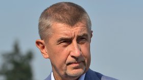 Babiš po schůzce v Lánech mluví k novinářům v Průhonicích.