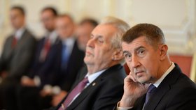 Miloš Zeman a Andrej Babiš