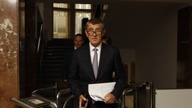 Andrej Babiš (ANO) je připraven odpovědět na otázky premiéra Sobotky, když ho s nimi osloví. Pro své odvolání z vlády nevidí důvod.