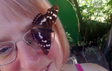 Paní Dana byla z motýla nadšená.