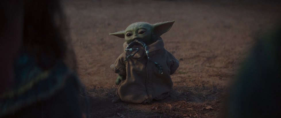 Baby Yoda je novým miláčkem všech fandů Star Wars.