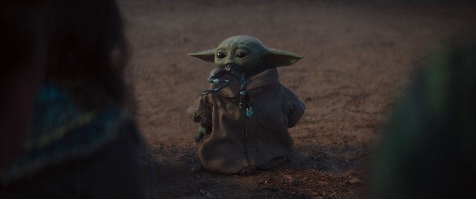 Baby Yoda je novým miláčkem všech fandů Star Wars.