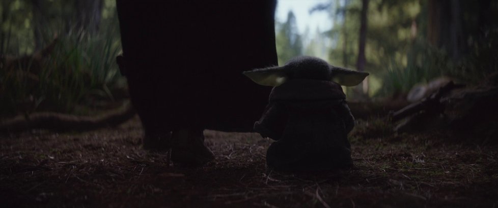 Baby Yoda je novým miláčkem všech fandů Star Wars.