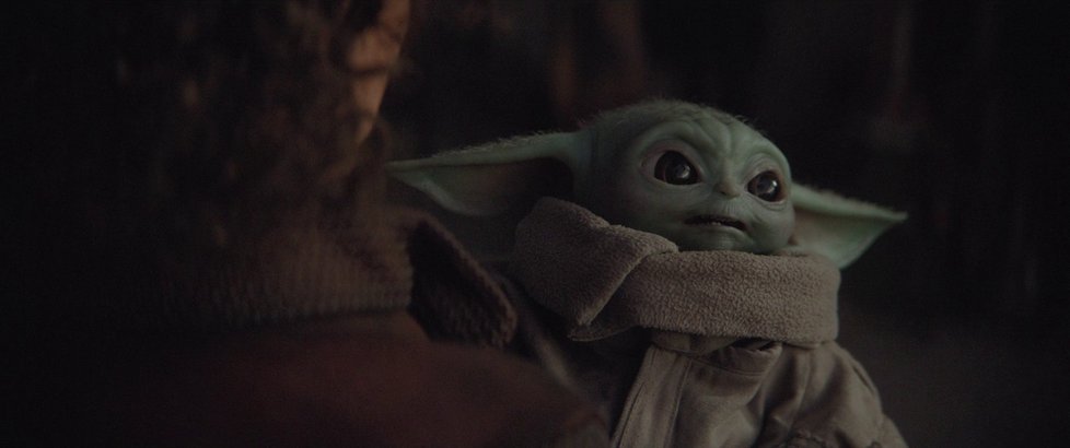 Baby Yoda je novým miláčkem všech fandů Star Wars.