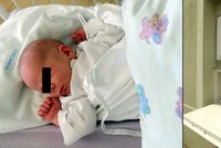 Chlapeček z babyboxu v Plzni bojuje o život: Pavlík byl samá modřina