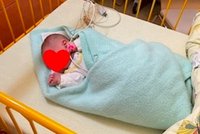 Péťa z babyboxu v Krnově: Čtyřkilový cvalík bude mít už brzy rodinu!