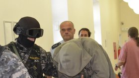 Po zuby ozbrojení strážci dohlíželi na Miloše Babyku (35) loni v září, když ho soud vzal do vazby.