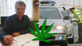 Jaromír Badin je šéfem protidrogového oddělení pražské kriminálky. Policie zadrží denně až 10 řidičů pod vlivem drog.