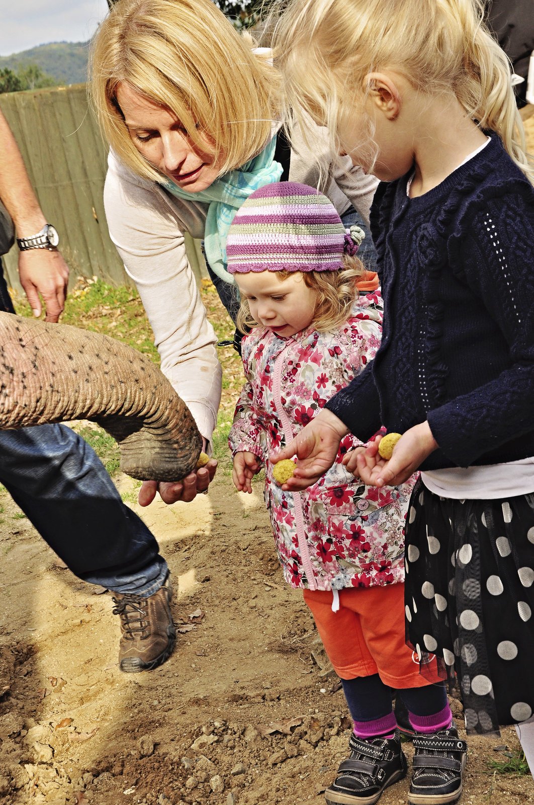 Novácké maminky si uživaly návštěvu zoo plnými doušky.