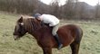 Kateřina Baďurová Janků koně miluje.