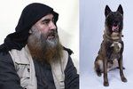 Šéfa ISIS Bagdádího zahnal do slepého tunelu pes Conan. Ze zranění se zotavil