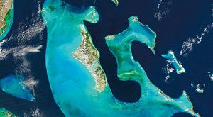 Skok do hlubin: Korálové Bahamy 