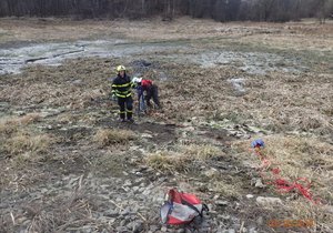 Rybník Čerťák se bude čistit. V jeho bahně uvízla geodetka až po pás. Museli ji vysvobodit hasiči.