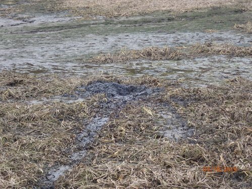 Rybník Čerťák se bude čistit. V jeho bahně uvízla geodetka až po pás. Museli ji vysvobodit hasiči.