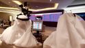 Bahrajn, Saúdská Arábie, Egypt a Spojené arabské emiráty oznámily, že přerušují diplomatické styky s Katarem. S touto zemí Perského zálivu přerušily i letecké a námořní spojení. Bahrajn, Saúdská Arábie, Egypt a Spojené arabské emiráty oznámily, že přerušují diplomatické styky s Katarem. S touto zemí Perského zálivu přerušily i letecké a námořní spojení.