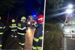 Uprchlé stádo koní v Bakově způsobilo dvě dopravní nehody