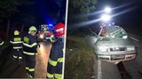 Drama v Bakově u Slaného: Uprchlé stádo koní způsobilo dvě dopravní nehody