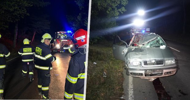 Drama v Bakově u Slaného: Uprchlé stádo koní způsobilo dvě dopravní nehody