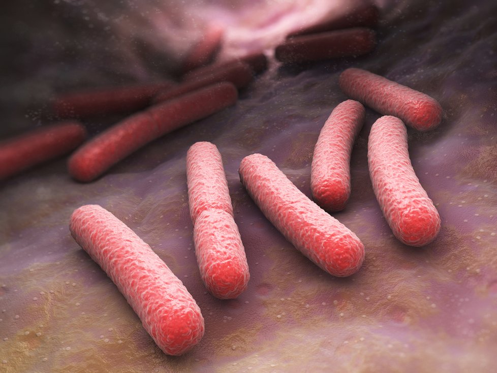 Američtí vědci v šoku: Objevili bakterii, na kterou antibiotika nemají