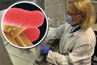 Odborníci jsou zděšeni: Vražedná bakterie lepí střeva