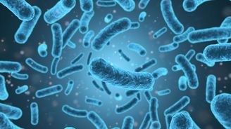 V boji proti nebezpečným superbakteriím by mohlo pomoct 40 let staré antibiotikum