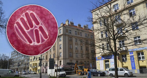 Nebezpečná bakterie legionella v teplé vodě: Zamořila vodu v šesti ulicích Prahy 9