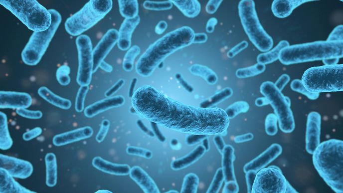 V boji proti nebezpečným superbakteriím by mohlo pomoct 40 let staré antibiotikum. Ilustrační foto.