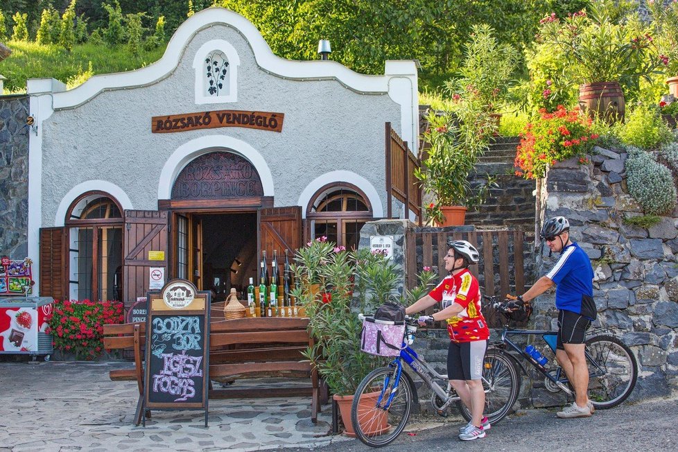 Balaton můžete objet dokola i na kole.