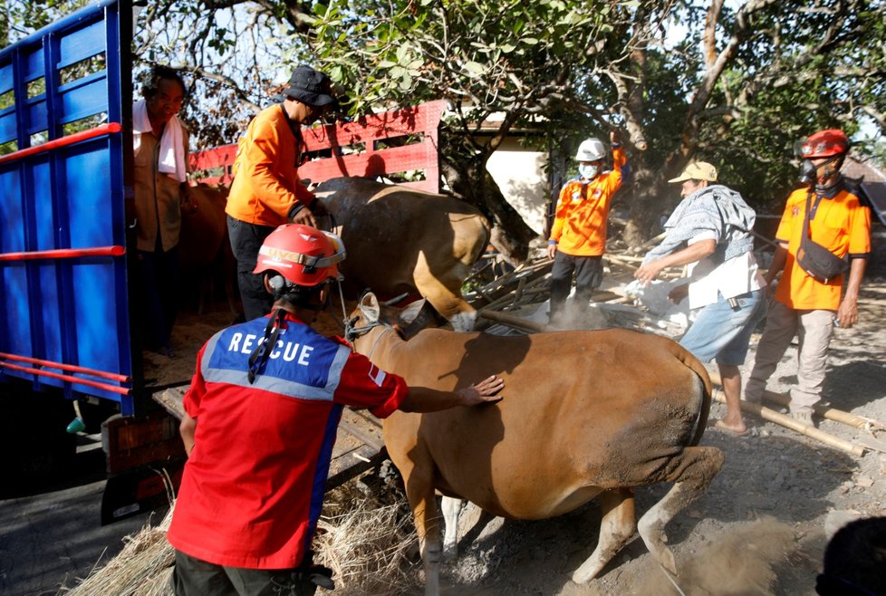 Z okolí sopky Agung na Bali bylo evakuováno přes 120 tisíc lidí.