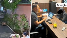Peprná podívaná na Bali: Turisty při sexu před cizím domem zachytila kamera.