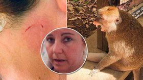 Pořádný kousanec zanechala opice na krku ženy, která přijela na dovolenou na Bali.