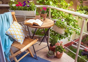 Jak osadit severní balkon, aby kvetl od jara až do podzimu