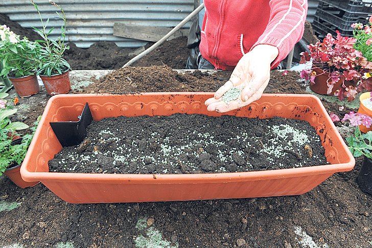 3. Přidáme dávku hnojiva, které rovnoměrně zapravíme do zeminy. Dávkujeme dle návodu.