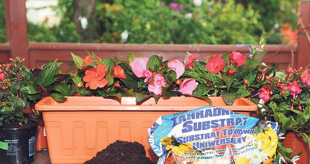 1) Připravte si samozavlažovací truhlík, sazenice květin a zahradnický substrát.