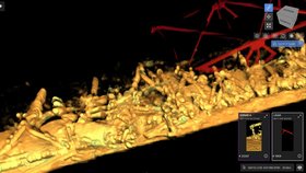 Sbor inženýrů americké armády zveřejnil 3D snímky vraku mostu v Baltimoru.