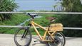 Bambusové bicykly